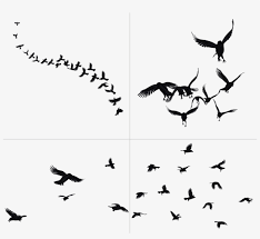 This file was uploaded by user: Flying Ravens Png Group Of Crows Png Free Transparent Png Download Pngkey