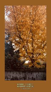 momento mori 有的事情一下子過去了 有的事情很久也過不去 momento mori mori painting