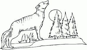 Welcome to reddit, the front page of the internet. Desert Coyote Drawing Novocom Top