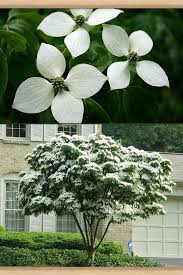 Pin Auf Jardin