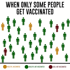 Fauci with the best meme generator and meme maker on the web, download or share the covid vaccine. Herd Immunity Explained By Gif Participants Kansas