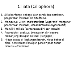 Protozoa Kelas Ciliata Ppt Download