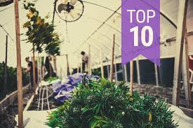 Hello la team on se retrouve pour parler des nouveaux métiers du digital on t'explique 10 métiers sélectionnés par com'on num ! Top 10 Des Metiers De L Industrie Du Cannabis Fonctions Et Salaires Rqs Blog