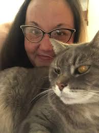 missing cat in historic district of Springfield