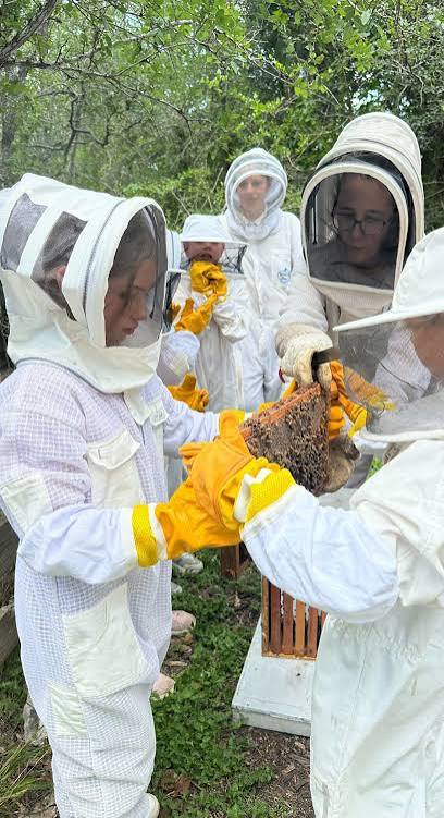 Kids Nature Club - Two Hives Honey - Honey and Hive Tours in Austin, TX