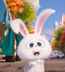 As you know that whatsapp is one of the most popularly used instant messaging app where people hangout and enjoy chatting with friends for free. Funny Cartoon Rabbit For Dp 1449x1596 Wallpaper Teahub Io