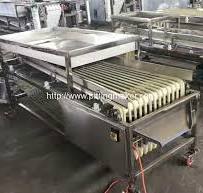 Automatic Dates Sorting Machine for Sale | Dates Pitting ...