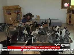 روبورتاج مبادرة فريدة لرعاية الحيوانات المتخلى عنها بطنجة youtube