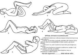 Omurga Gen Tr Bel Fitigi Egzersiz Fizik Tedavi Egzersizleri
