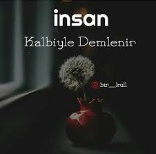 Muzaffer Hancer Adli Kullanicinin Etkili Guzel Sozler Panosundaki Pin Guzel Soz Alintilar Resimler