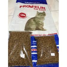 Makanan kucing banyak dijual berupa kalengan ataupun kiloan. Jual Makanan Catfood Terbaru Lazada Co Id