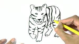 Tiger drawing for beginner#tiger_drawing : How To Draw A Tiger 2 In Easy Steps For Children Beginners Youtube