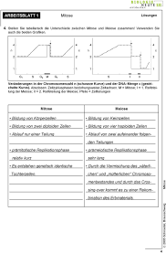 Es Laufen Die Vier Mitosephasen Ab Pdf Free Download