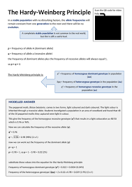 Start studying hardy weinberg practice problems. The Hardy Weinberg Principle Teaching Resources