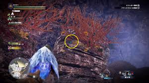 MHW:IB 環境生物を見つけよう♪陸珊瑚の台地 : 四季彩
