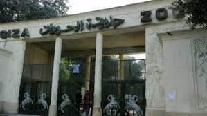 البوابة نيوز الحكومة تصدر بيانا رسميا عن سعر تذكرة حديقة الحيوان