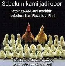 Fantastis 12 Gambar Lucu Ayam Lebaran Gambar Lucu Lucu Meme Lucu