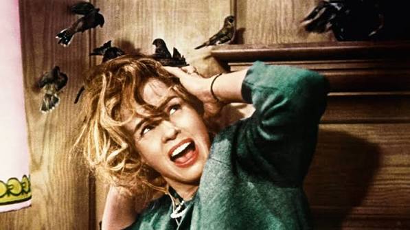 The Birds