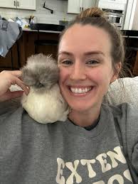 Was hoping to keep this roo. For some reason, he is relentless at attacking  my Cuckoo Maran hen anytime they are out of the coop and in the run. I  believe he