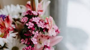 Order now & send flowers today Flower And Mother S Day Gift Delivery Options In Hamilton To Do Canada