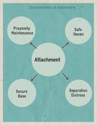 What You Should Know About Attachment Styles Attachment Theory Reactive Attachment Disorder Co Parenting Classes