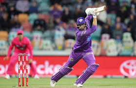 He showed us around his compact isle of wight flat with great gusto. Tim David Bbl Hobart Hurricanes Girlfriend Age Height Country