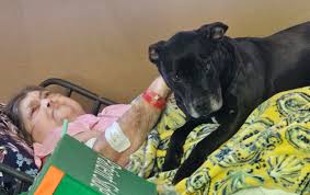 Pamela Waugaman Barnhart Obituary