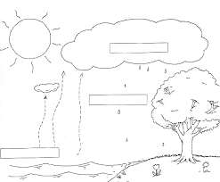 Fifth Grade Water Cycle Worksheet Fifth Grade Free