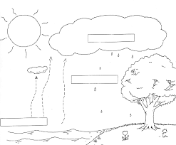 fifth grade water cycle worksheet fifth grade free