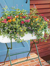 Summer Planter Ideas Life On Virginia Street