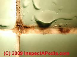 While it is not inherently dangerous to healthy adults, the presence of orange mold in the home can cause health. Bathroom Mold Mold In Bathrooms On Tile And Other Surfaces Bathroom Mold Detection Testing Mold Cleanup Bathroom Mold Prevention Guide