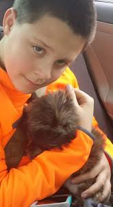 Lost Shih Tzu in Creswell, North Carolina