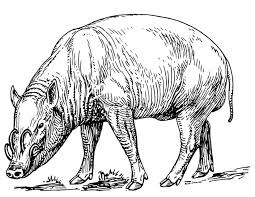 Use our printable coloring page to make this fun preschool farm coloring themes easy to do. Boar 14659 Animals Printable Coloring Pages