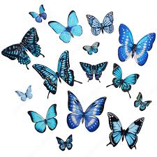 Hiasan dinding tersebut diantaranya adalah : Stiker Dinding 3d Kupu Kupu Stiker Dinding Hiasan Dinding Rumah Dan Gaya Hidup Canon Creative Park