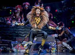 vienna 2019 gallery cats musical wiki fandom cats musical musicals cats