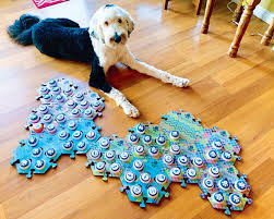 Smart Gadgets for Dogs and Dog Lovers ...