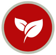 See more of san joaquin pest control of visalia on facebook. Visalia Pest Control Exterminator In Visalia San Joaquin Pest Control