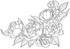 Enjoy coloring this peony coloring page for free. Peony Lineart By Cyen D3aixcf Peony Coloring Page Flower Drawing Peony Drawing Vintage Flower Tattoo