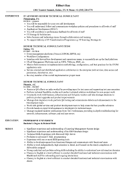 It consultants provide expertise for organizations in need of technological solutions, such as data networks and software platforms. Senior Technical Consultant Resume Samples Velvet Jobs