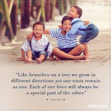 20 Sweet Quotes About Siblings And Their Lifelong Bond Sibling Quotes Sweet Sister Quotes Sister Quotes Funny