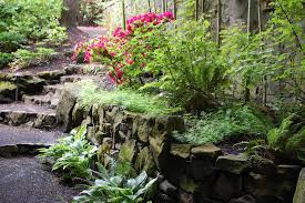 Check spelling or type a new query. Rock Wall Steps Bamboo Eclectic Landscape Portland By Ross Nw Watergardens Houzz