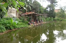 Dedy Harian Bawal 24 Jam Minggu Lomba Rasanya Seperti Di Alam Liar Kabar Mancing