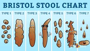 poop chart: what your poop says about