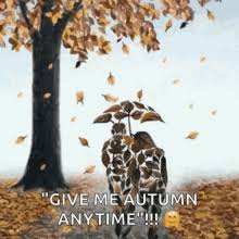 Log in to save gifs you like, get a customized gif feed, or follow interesting gif creators. Animated Falling Leaves Background Gifs Tenor
