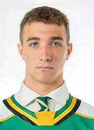 Mailloux went to sweden, playing for lejon in the third division. R7p2p Alzmay6m