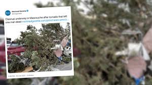 © provided by the canadian press marisa curcio. P Wf0zsa52bs0m