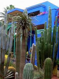 Wifi and parking are free, and this vacation home also features an outdoor fraccionamiento real valencia, mallorca norte smz. Casa Azul De Frida En Coyoacan Mexican Garden Frida And Diego Coyoacan
