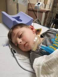 Fighting a Forest Fire with a Water Gun