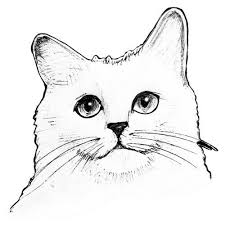Die 92 besten bilder von augen in 2019 zeichnungen augen. Wandtattoo Katzenkopf Schwarz Weiss Wie Gezeichnet Wanddekoration Ebay