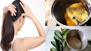 Dengan demikian, kandungan tersebut bermanfaat untuk pertumbuhan dan pemeliharaan rambut. Langsung Lebat Dalam 3 Hari Baginilah Cara Cepat Menumbuhkan Rambut Dengan Daun Jambu Biji Youtube